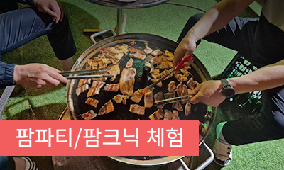 팜파티/팜크닉 체험